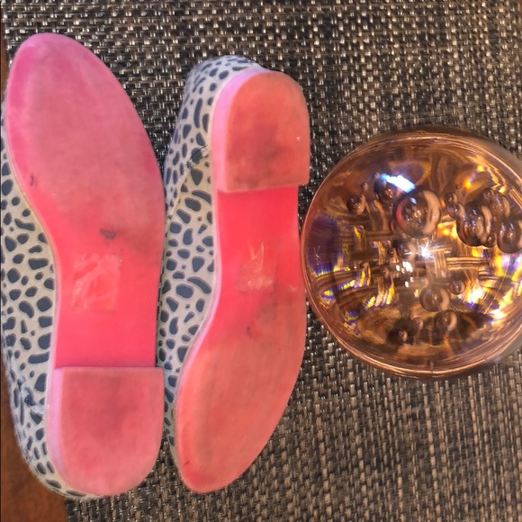 Cheetah Power! - Picture 4 of 7